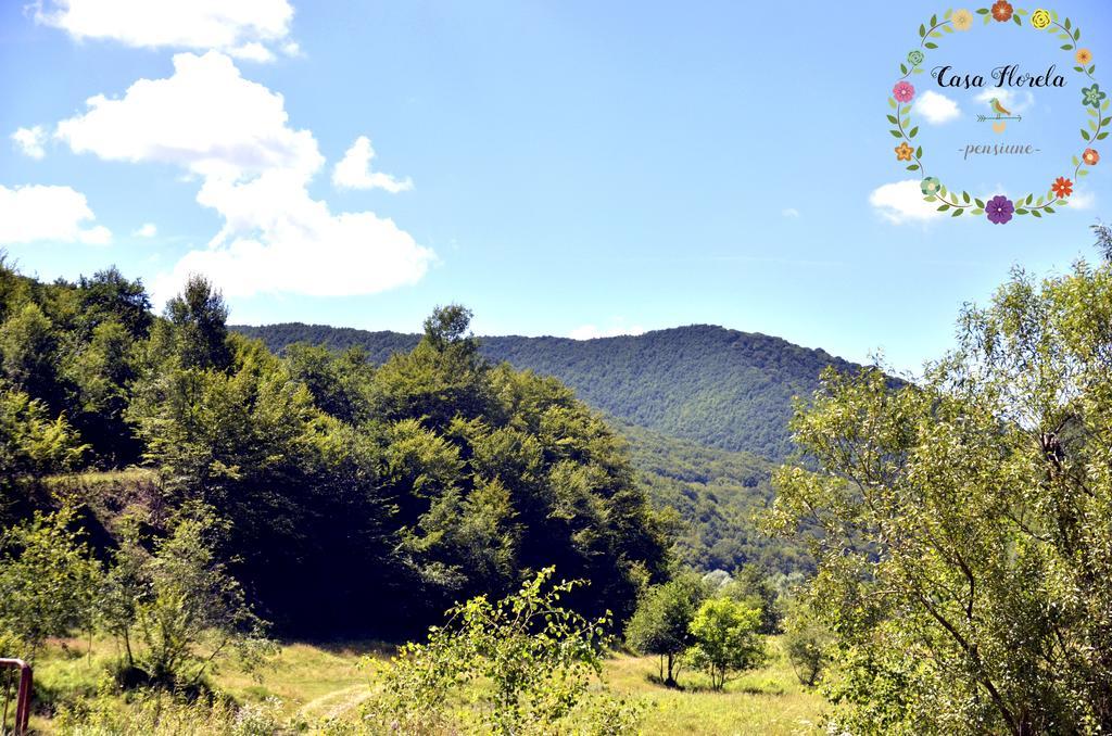 Pensiunea Casa Florela Capusu Mic Bagian luar foto