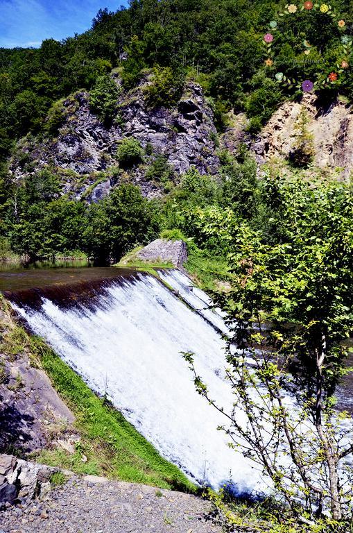 Pensiunea Casa Florela Capusu Mic Bagian luar foto