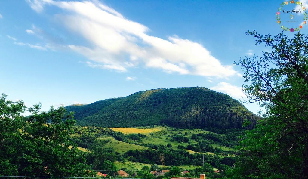 Pensiunea Casa Florela Capusu Mic Bagian luar foto